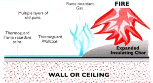 Old paint layers protected from fire by Wallcoat Intumescent Paint